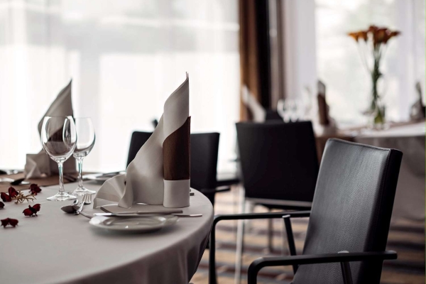 Hotel Pullman Dresden Newa